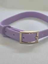 PVC collars any breed.