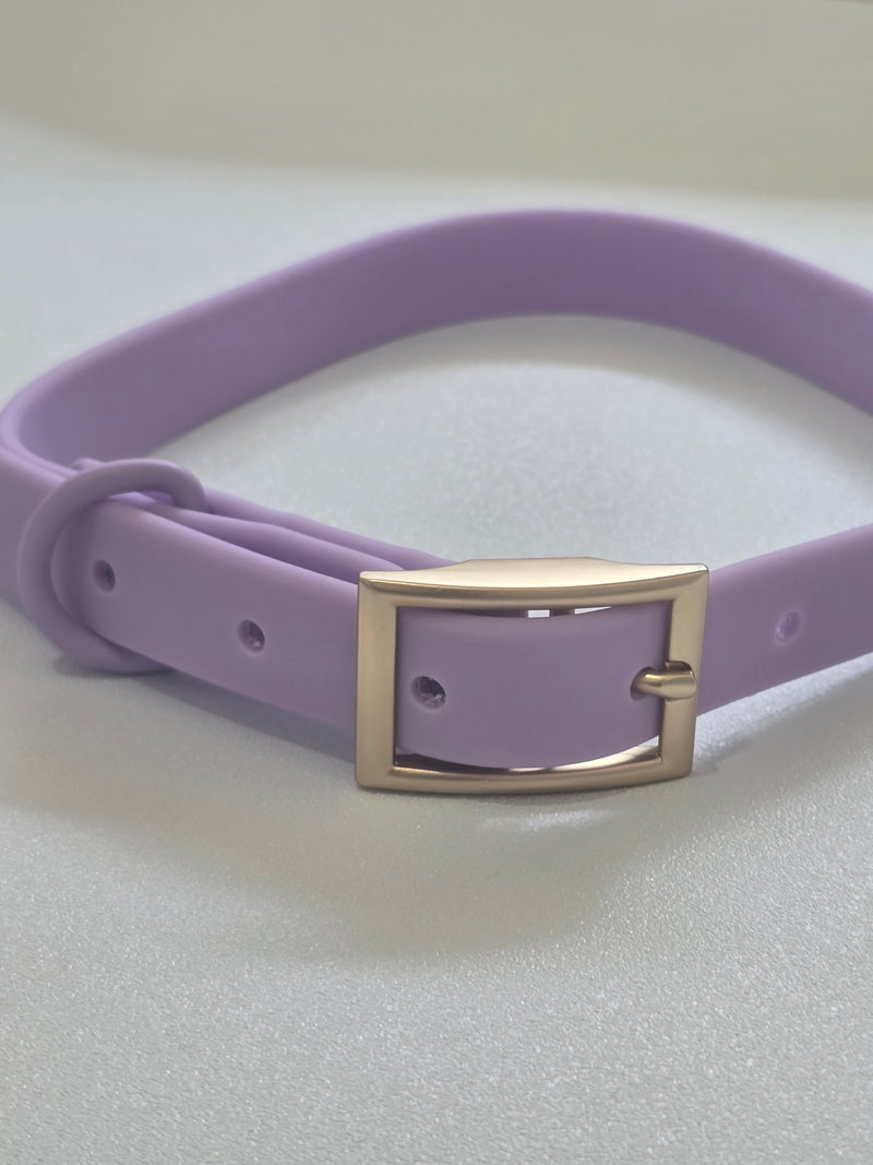 PVC collars any breed.