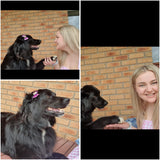 Person with a happy dog enjoying grooming services with personal attention.