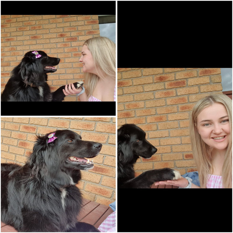 Person with a happy dog enjoying grooming services with personal attention.